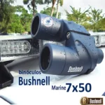 Bushnell-750x552-OK-webp-0.webp